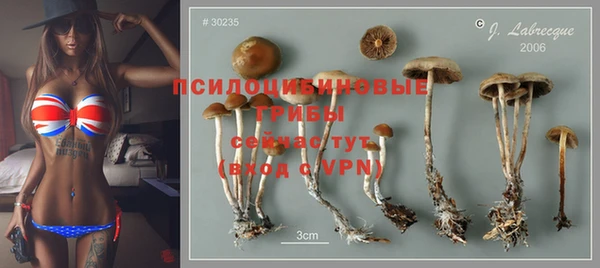 скорость Алексин