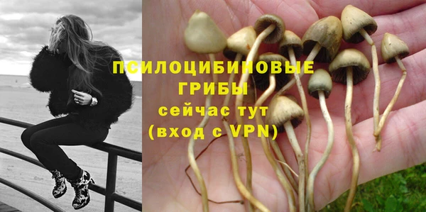 скорость Алексин