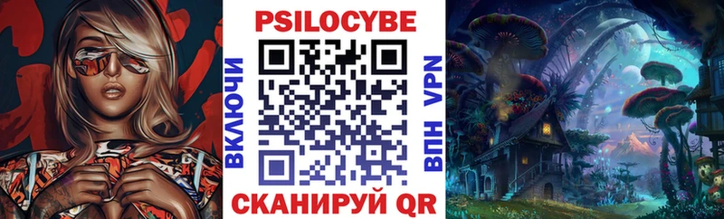 Галлюциногенные грибы MAGIC MUSHROOMS  ссылка на мегу ссылки  Новая Ладога 